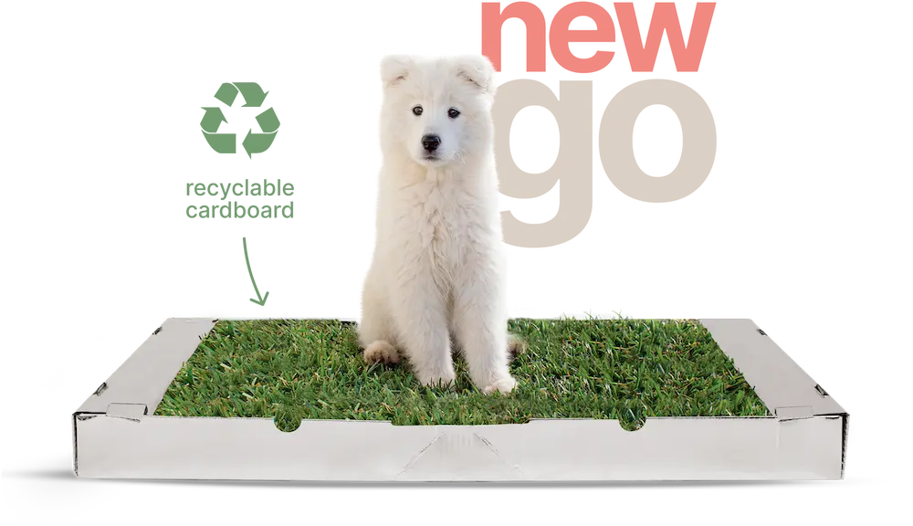 Potty Plant Go, the most convenient disposable dog toilet