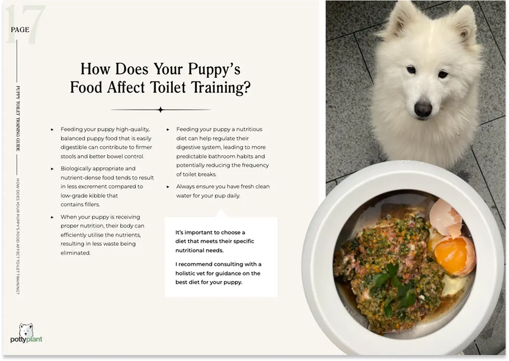 Your Potty Plant Guide - How Does Your Puppy's Food Affect Toilet Training?